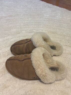 ugg slippers